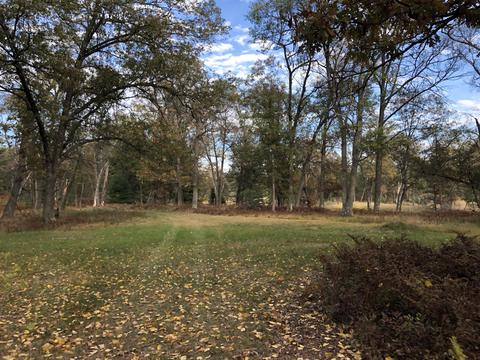 3231 Tote Road Comins Mi 48619 Rd, Comins, MI 48619 photo 24