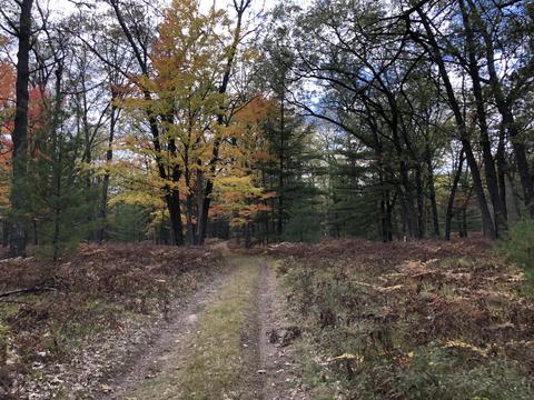 3231 Tote Road Comins Mi 48619 Rd, Comins, MI 48619 photo 51