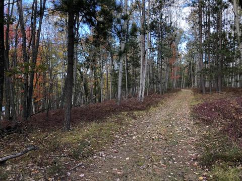 3231 Tote Road Comins Mi 48619 Rd, Comins, MI 48619 photo 23
