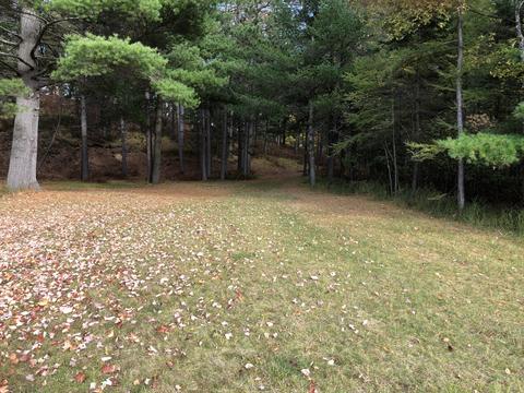 3231 Tote Road Comins Mi 48619 Rd, Comins, MI 48619 photo 22