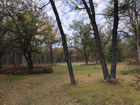 3231 Tote Road Comins Mi 48619 Rd, Comins, MI 48619 photo 57
