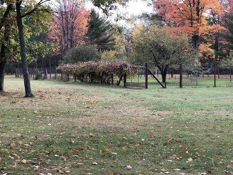 3231 Tote Road Comins Mi 48619 Rd, Comins, MI 48619 photo 21