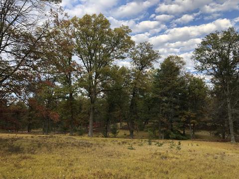 3231 Tote Road Comins Mi 48619 Rd, Comins, MI 48619 photo 54