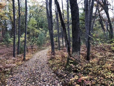 3231 Tote Road Comins Mi 48619 Rd, Comins, MI 48619 photo 25
