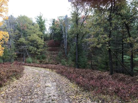 3231 Tote Road Comins Mi 48619 Rd, Comins, MI 48619 photo 27