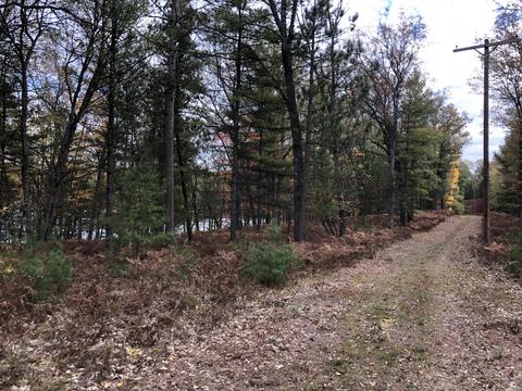 3231 Tote Road Comins Mi 48619 Rd, Comins, MI 48619 photo 52