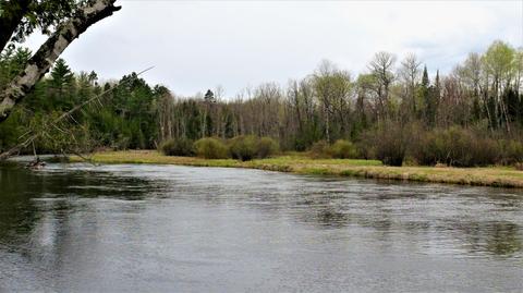 4576 Haskell Drive Lewiston Mi 49756 Dr, Lewiston, MI 49756 photo 3