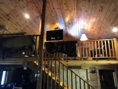 9920 Conners Flat Rd, Grayling, MI 49738 photo 21