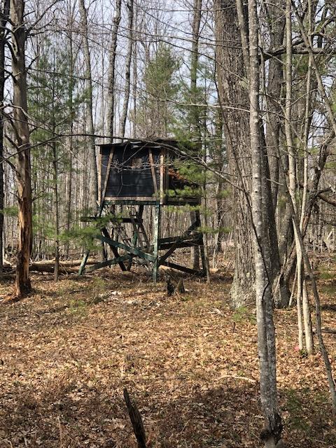 9920 Conners Flat Rd, Grayling, MI 49738 photo 37