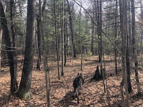 9920 Conners Flat Rd, Grayling, MI 49738 photo 38