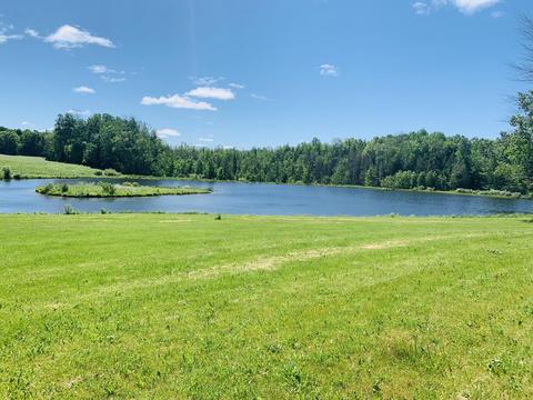 276 E Scribner Rd, Rose City, MI 48654 photo 4