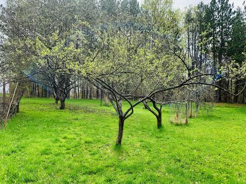 276 E Scribner Rd, Rose City, MI 48654 photo 20