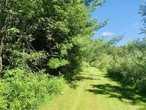 276 E Scribner Rd, Rose City, MI 48654 photo 40