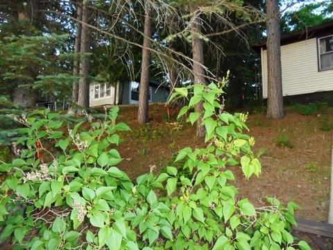 2163 N Lake Dr, Fairview, MI 48621 photo 21