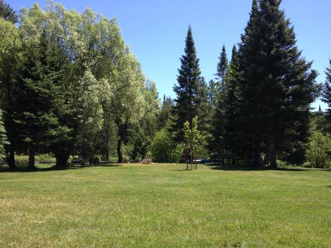 3623 Juniper Way, Grayling, MI 49738 photo 40