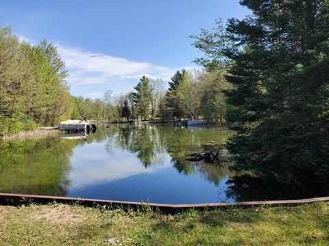 11926 Bruun Trl, Frederic, MI 49733 photo 10