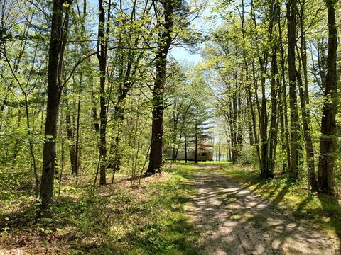 11926 Bruun Trl, Frederic, MI 49733 photo 12