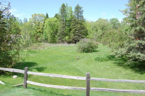7470 Spring St, Alanson, MI 49706 photo 4