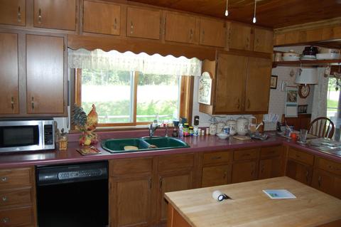 7470 Spring St, Alanson, MI 49706 photo 7