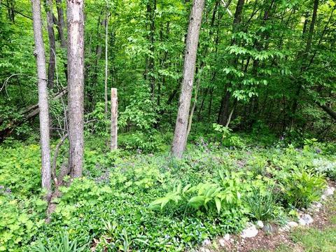 7321 Brudy Lane Wolverine Mi 49799 Ln, Wolverine, MI 49799 photo 35