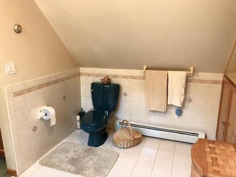 7321 Brudy Lane Wolverine Mi 49799 Ln, Wolverine, MI 49799 photo 22