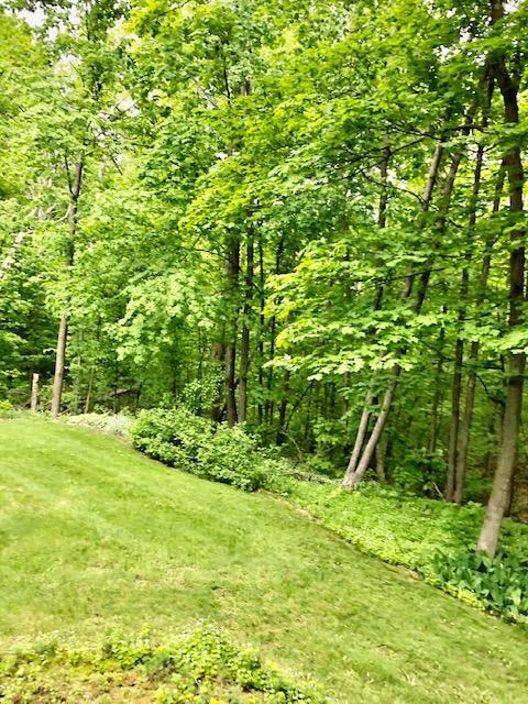 7321 Brudy Lane Wolverine Mi 49799 Ln, Wolverine, MI 49799 photo 30
