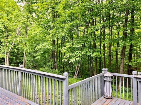 7321 Brudy Lane Wolverine Mi 49799 Ln, Wolverine, MI 49799 photo 29
