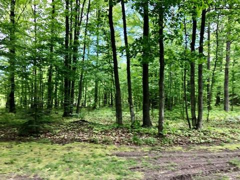 7321 Brudy Lane Wolverine Mi 49799 Ln, Wolverine, MI 49799 photo 31