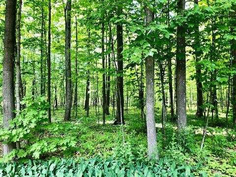 7321 Brudy Lane Wolverine Mi 49799 Ln, Wolverine, MI 49799 photo 41