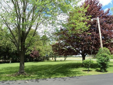 6550 S Herron Rd, Herron, MI 49744 photo 55