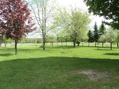 6550 S Herron Rd, Herron, MI 49744 photo 54