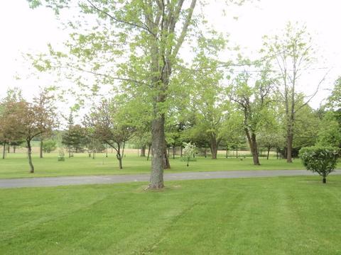 6550 S Herron Rd, Herron, MI 49744 photo 53