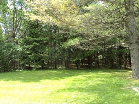 6550 S Herron Rd, Herron, MI 49744 photo 52