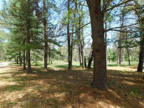 2361 Mckinley Road Road Stark Drive Mio Mi 48647 Rd #STARK DRIVE, Mio, MI 48647 photo 13