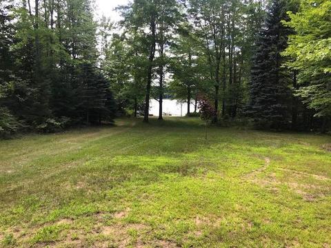 15428 Lakeview Drive Wolverine Mi 49799 Dr, Wolverine, MI 49799 photo 30