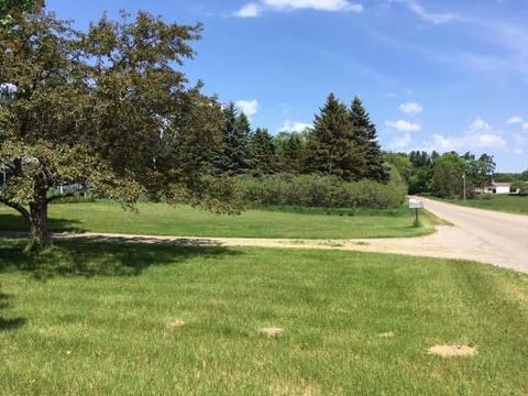 1601 Caldwell Road Mio Mi 48647 Rd, Mio, MI 48647 photo 19