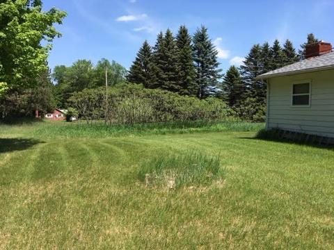 1601 Caldwell Road Mio Mi 48647 Rd, Mio, MI 48647 photo 18