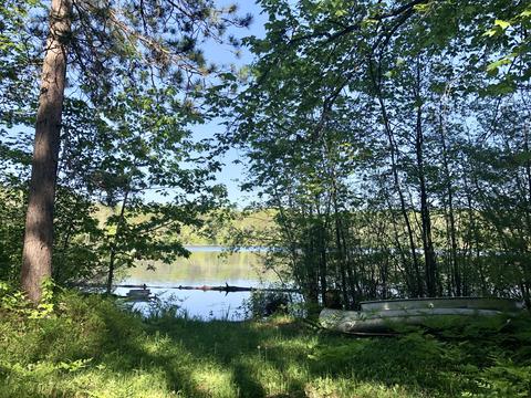 11209 Manning Dr, Frederic, MI 49733 photo 2