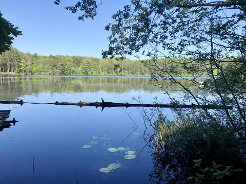 11209 Manning Dr, Frederic, MI 49733 photo 3