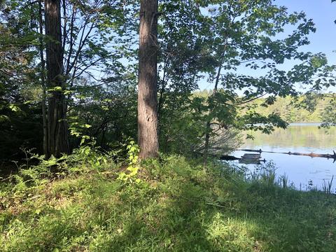 11209 Manning Dr, Frederic, MI 49733 photo 11