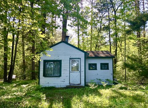 11209 Manning Dr, Frederic, MI 49733 photo 5