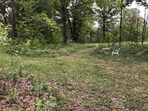 8873 N Deer Trail Frederic Mi 49733 Trl, Frederic, MI 49733 photo 37