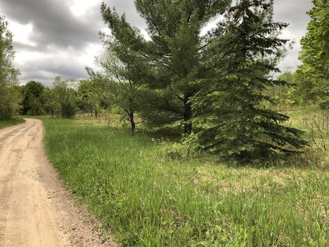 8873 N Deer Trail Frederic Mi 49733 Trl, Frederic, MI 49733 photo 43