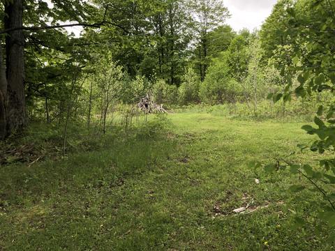 8873 N Deer Trail Frederic Mi 49733 Trl, Frederic, MI 49733 photo 38