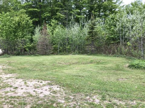8873 N Deer Trail Frederic Mi 49733 Trl, Frederic, MI 49733 photo 36