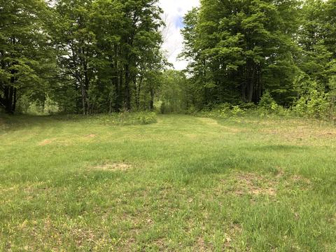 8873 N Deer Trail Frederic Mi 49733 Trl, Frederic, MI 49733 photo 44