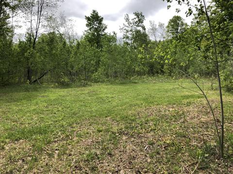 8873 N Deer Trail Frederic Mi 49733 Trl, Frederic, MI 49733 photo 39