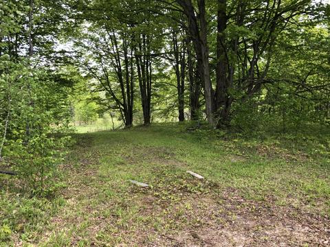 8873 N Deer Trail Frederic Mi 49733 Trl, Frederic, MI 49733 photo 40
