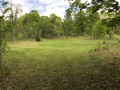 8873 N Deer Trail Frederic Mi 49733 Trl, Frederic, MI 49733 photo 41