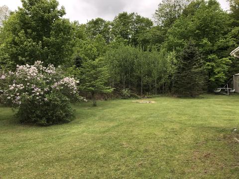 8873 N Deer Trail Frederic Mi 49733 Trl, Frederic, MI 49733 photo 31